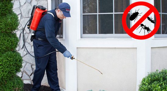 Konak Gümüşkurt İlaçlama böcek ilaçlama ve haşere kontrolü — ilaclama-tr.com